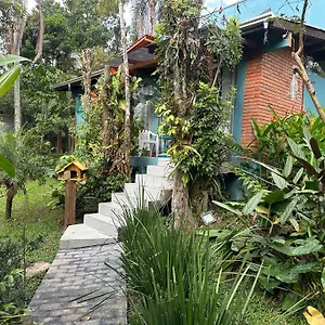 https://recanto-dos-passarinhos.santa-catarina-brasil.com